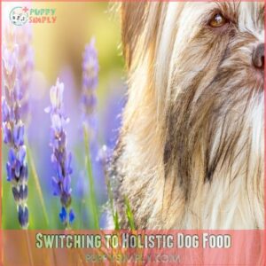 Switching to Holistic Dog Food