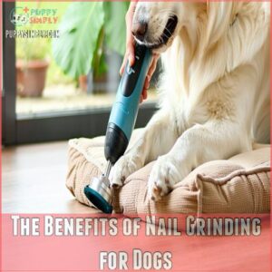 The Benefits of Nail Grinding for Dogs