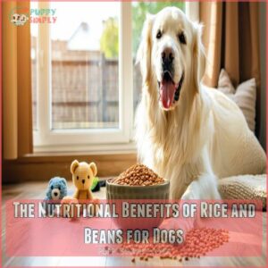 The Nutritional Benefits of Rice and Beans for Dogs