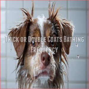 Thick or Double Coats Bathing Frequency