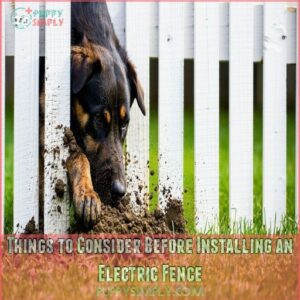 Things to Consider Before Installing an Electric Fence