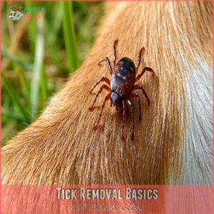 Tick Removal Basics