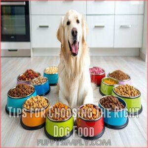 Tips for Choosing The Right Dog Food