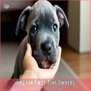 Tips for First-Time Owners