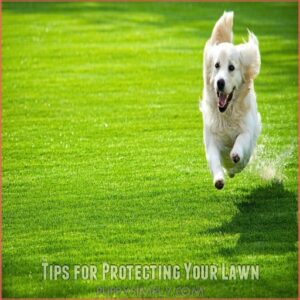 Tips for Protecting Your Lawn