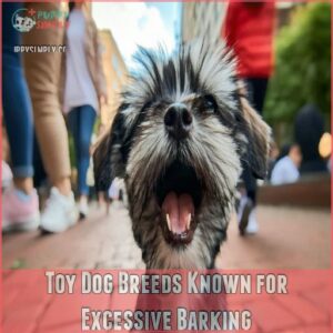 Toy Dog Breeds Known for Excessive Barking