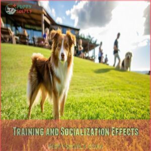 Training and Socialization Effects