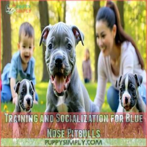 Training and Socialization for Blue Nose Pitbulls