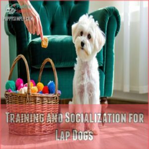 Training and Socialization for Lap Dogs