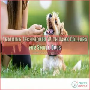 Training Techniques With Bark Collars for Small Dogs