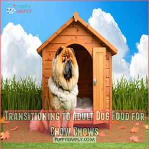 Transitioning to Adult Dog Food for Chow Chows