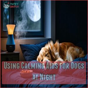 Using Calming Aids for Dogs at Night