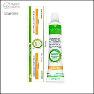 Vetoquinol Enzadent Enzymatic Toothpaste for