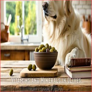 Vitamins and Minerals in Olives