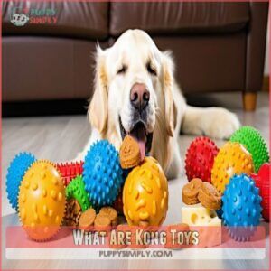 What Are Kong Toys What Are Kong Toys