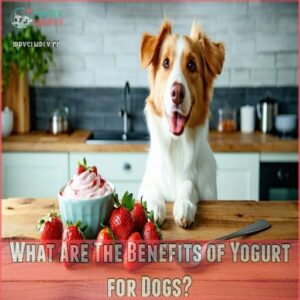 What Are The Benefits of Yogurt for Dogs