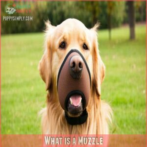 What is a Muzzle