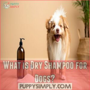 What is Dry Shampoo for Dogs