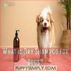 What is Dry Shampoo for Dogs