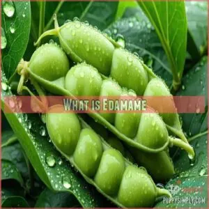 What is Edamame