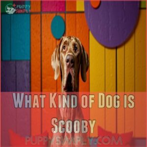 What Kind of Dog is Scooby