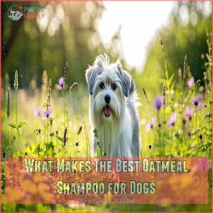 What Makes The Best Oatmeal Shampoo for Dogs