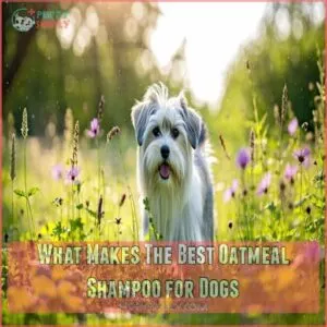 What Makes The Best Oatmeal Shampoo for Dogs