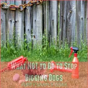 What NOT to Do to Stop Digging Dogs