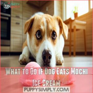 What to Do if Dog Eats Mochi Ice Cream