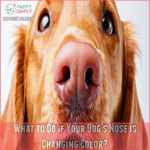 Dogs With Pink Noses: Breeds, Snow Nose, and Care Tips Explained