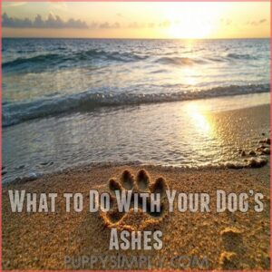 What to Do With Your Dog’s Ashes