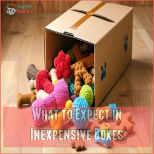 What to Expect in Inexpensive Boxes