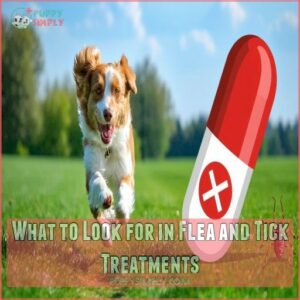 What to Look for in Flea and Tick Treatments