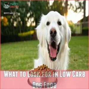 What to Look for in Low Carb Dog Food