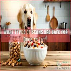 What Types of Beans Are Safe for Dogs to Eat