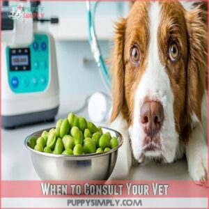 When to Consult Your Vet