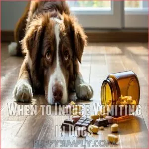 When to Induce Vomiting in Dogs