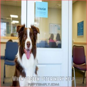 When to Seek Veterinary Help