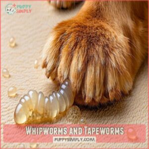 Whipworms and Tapeworms