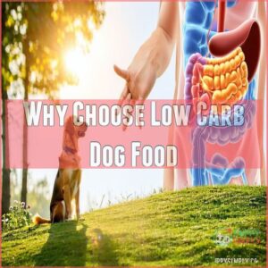 Why Choose Low Carb Dog Food