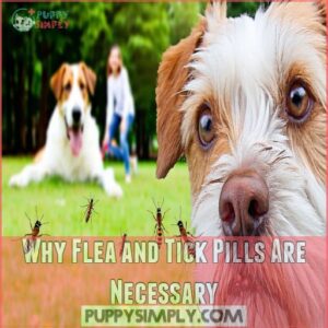 Why Flea and Tick Pills Are Necessary