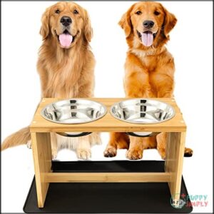 Yangbaga Elevated Dog Bowls, Raised