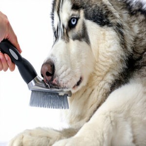 11. SunGrow Pet Deshedding Brush for Dogs Cats