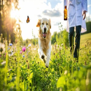 Active Ingredients in Flea and Tick Pills