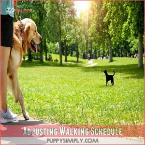 Adjusting Walking Schedule