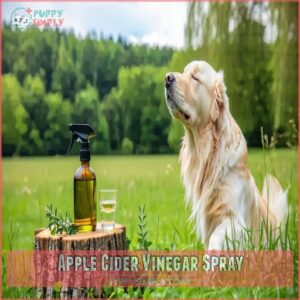 Apple Cider Vinegar Spray