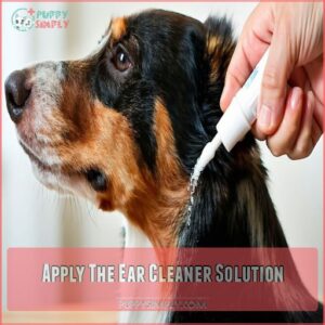 Apply The Ear Cleaner Solution