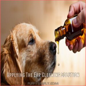 Applying The Ear Cleaning Solution