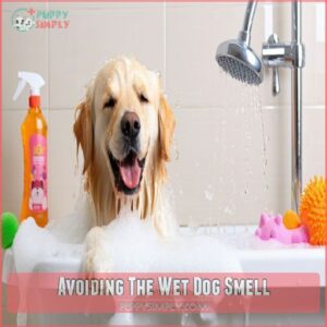 Avoiding The Wet Dog Smell