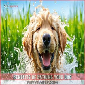 Benefits of Bathing Your Dog